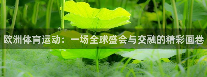 米兰体育报：欧洲体育运动：一场全球盛会与交融的精彩画卷