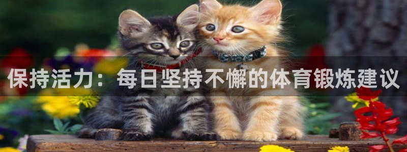 米兰体育最新版下载：保持活力：每日坚持不懈的体育锻炼建议