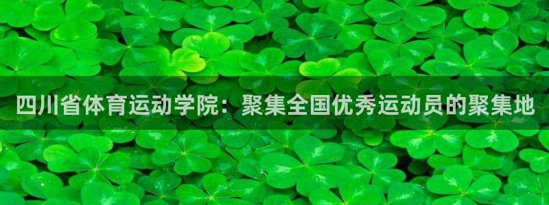 米兰体育官方下载入口：四川省体育运动学院：聚集全国优秀运动员的聚集地