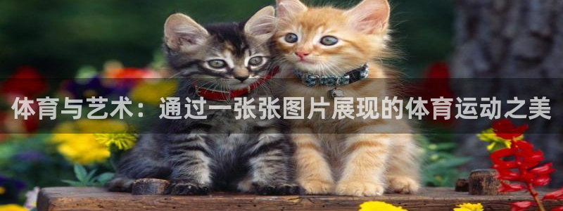 米兰体育官方下载入口：体育与艺术：通过一张张图片展现的体育运动之美