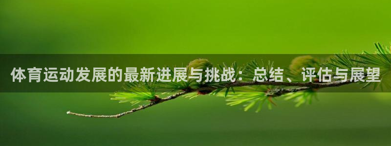 米兰体育下载：体育运动发展的最新进展与挑战：总结、评估与展望
