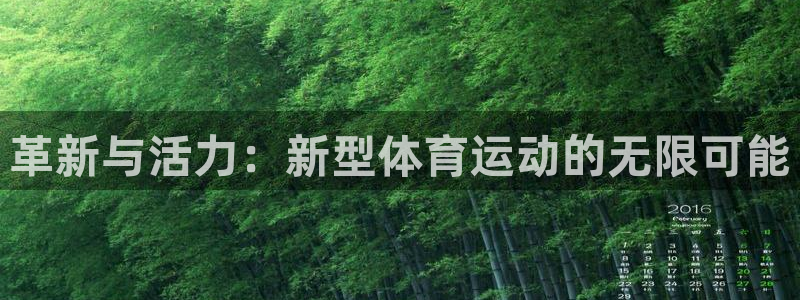 米兰体育最新版下载：革新与活力：新型体育运动的无限可能
